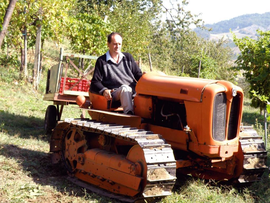 Agriturismo Ca' Isotta Castello di Serravalle Dış mekan fotoğraf