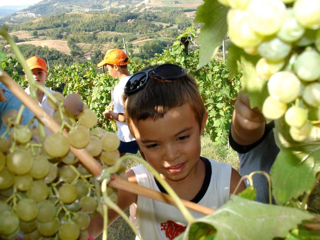 Agriturismo Ca' Isotta Castello di Serravalle Dış mekan fotoğraf